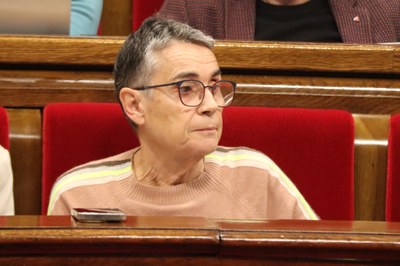 La consellera de Salut, Olga Pané, a la sessió de control al Govern aquest dimecres al Parlament (Foto: ACN)