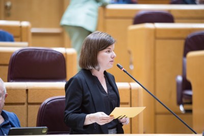 Intervenció de Sara Bailac al Senat