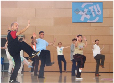 Seminari de Tai Chi