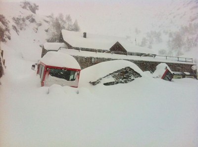 Nevada a Tavascan