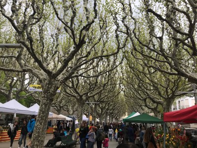 Sant Jordi 2019 a la Seu d'Urgell (Foto: Ajuntament de la Seu)
