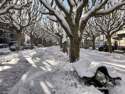 El passeig Joan Brudieu de la Seu, aquest dijous
