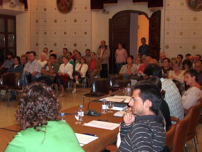 Ple Municipal de la Seu d'Urgell - Públic