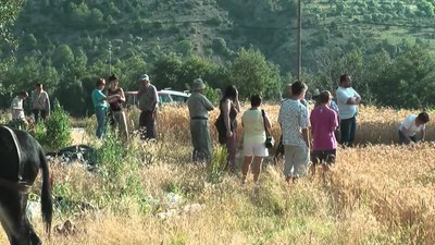 Festa de la Sega al Vilar de Cabó