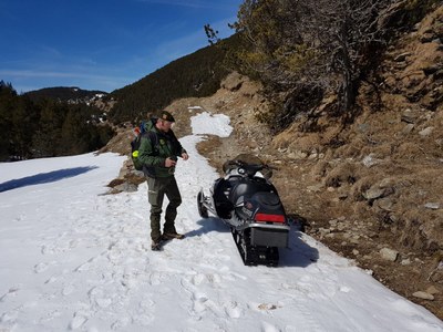 Comís d'una moto de neu a la Reserva de Caça Cerdanya-Alt Urgell