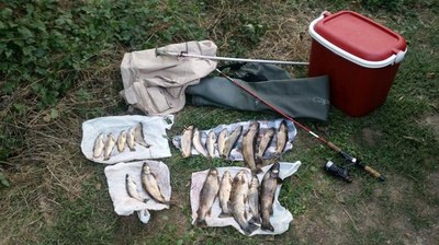 Material comissat al pescador furtiu (Foto: Agents Rurals)