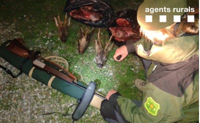 Animals comissats pels Agents Rurals