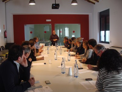 Consell d\'alcaldes de l\'Alt Urgell 30.01.2013