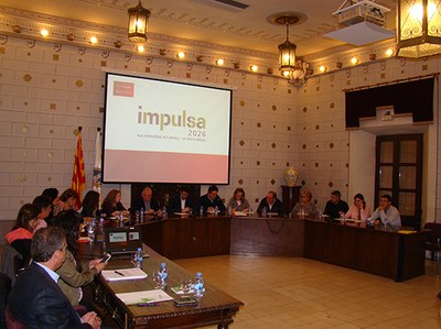 Consell d'Alcaldes a la Seu d'Urgell (Foto: CCAU)
