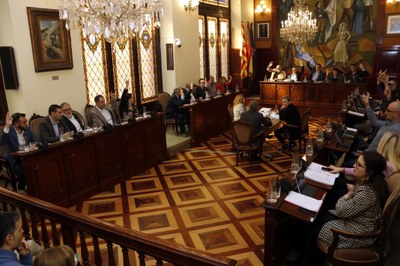 Ple de la Diputació de Lleida (ACN / arxiu)