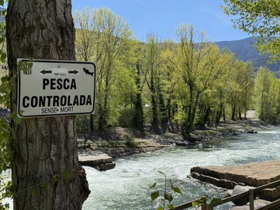 Un rètol de pesca controlada sense mort al riu Noguera Pallaresa a Sort (Foto: ACN/Marta Lluvich)