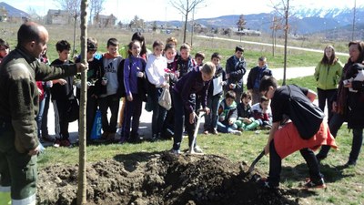 Dia de l'arbre 2013