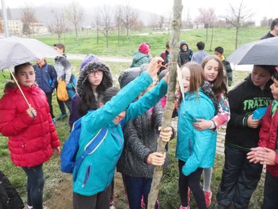 Dia de l'arbre a la Seu d'Urgell