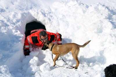Assaig de rescat en allaus amb gossos, a la Vall de Boí (Foto: ACN)