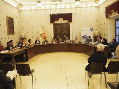 Ple extraordinari de presentació de l'Informe 2022 de la Síndica Municipal de Greuges de la Seu d'Urgell, Anna Martí