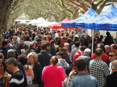 Celebració de Sant Jordi a la Seu d'Urgell, aquest diumenge