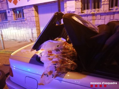 Marihuana intervinguda al Pont de Suert (Foto: Mossos d'Esquadra)