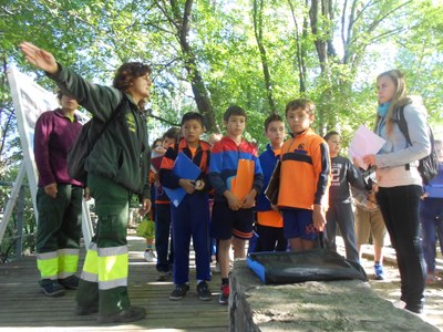 Escola Albert Vives - Arbres parc