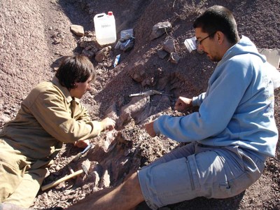 Dinosaures - Prospecció 3