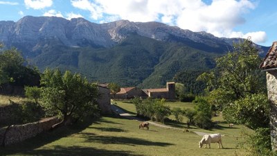 Parc Natural del Cadí-Moixeró