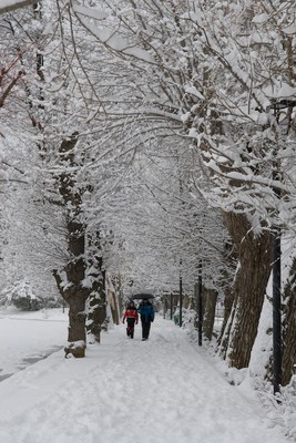 Paisatge hivernal a l'entorn del llac de Puigcerdà