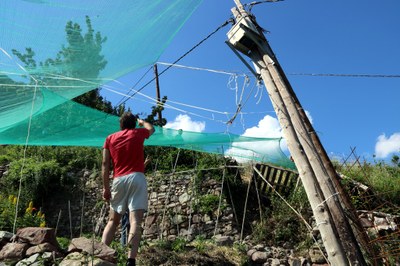 Revisió d'un pal de llum afectat pels moviments de terra a Mencui (Foto: ACN)