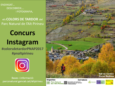 Concurs a Instagram "Colors de Tardor"