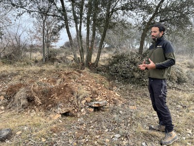 Albert Cereza mostra una vedruna per a conills de bosc a Gavet de la Conca (Foto: ACN)