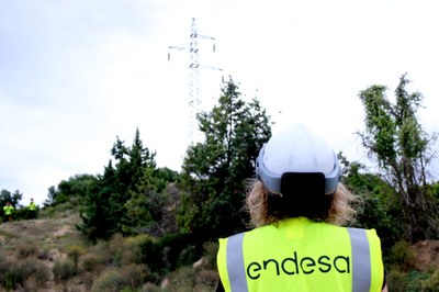 Treballador d'Endesa observant una torre elèctrica (Foto: ACN)
