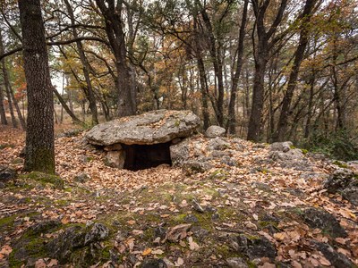 Dolmen de Colomera, a la vall de Cabó (Foto: Gemma Pla / Camina Pirineus)