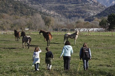 Equànima ofereix teràpia assistida amb cavalls (Foto: ACN)
