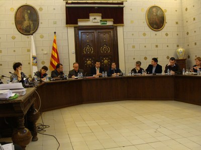 Ple de l'Ajuntament de la Seu - Febrer 2010