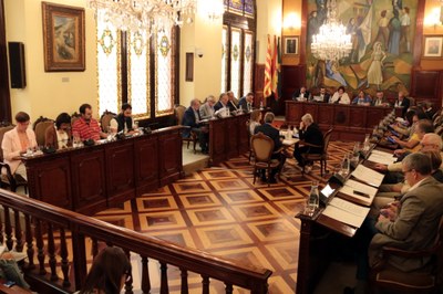 Ple de la Diputació de Lleida (Foto: ACN / arxiu)