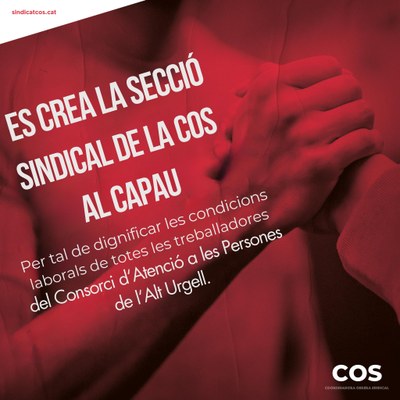 Creació de la secció sindical del Consorci d'Atenció a les Persones de l'Alt Urgell