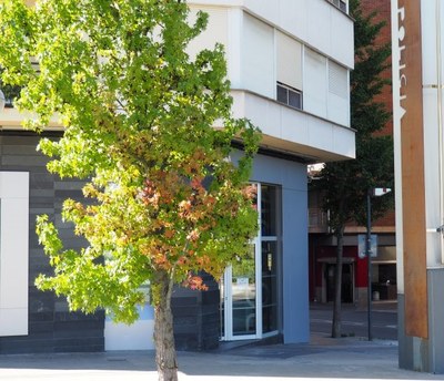 Comissaria de la Policia Nacional a la Seu d'Urgell