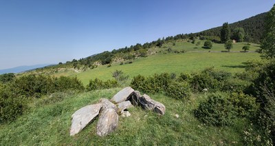 Dolmen de la Llosa de Bescaran (Foto: Gerard Remolins)