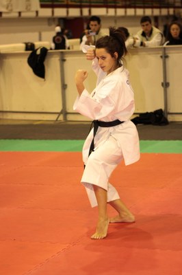 Karate - Urgell Navinés