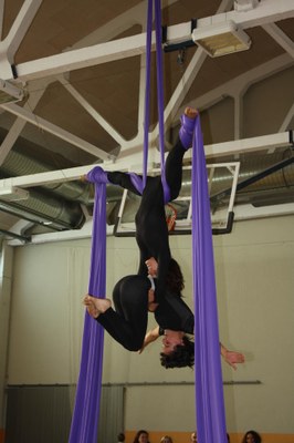 Taller de teles acrobàtiques 2013