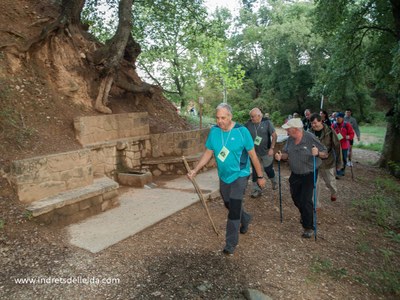 Caminada Popular d'Oliana 2015 (Foto: Jordi Odén)
