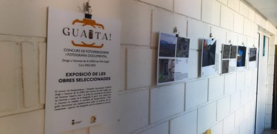 Obres seleccionades del Concurs 'Guaita!', al passadís de l'OJAU (Foto: Ajuntament de la Seu)