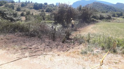 Extingit un foc de vegetació a Coll de Nargó
