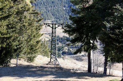 Estructures de l'antic telecadira entre l'estació de tren de la Molina i les pistes d'esquí (Foto: ACN)