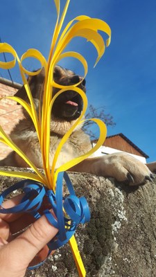 Palmons fets amb cartulina per una veïna de Fígols (Foto: Mireia Tarrats)