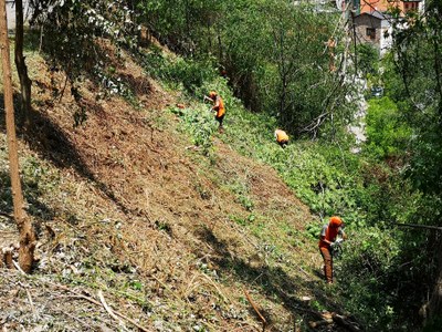 Tasques de prevenció d'incendis entre el camí que uneix Castellciutat i el Balcó del Pirineu (Foto: Ajuntament de la Seu d'Urgell)