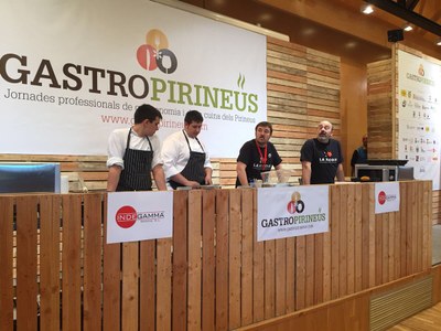 Sessió sobre terrines i tupí al Gastropirineus 2017, a Alp