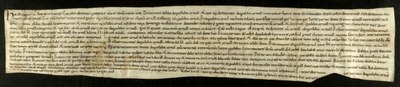 Memorial de greuges de Guitard Isarn, senyor de Caboet. (Biblioteca de Catalunya)