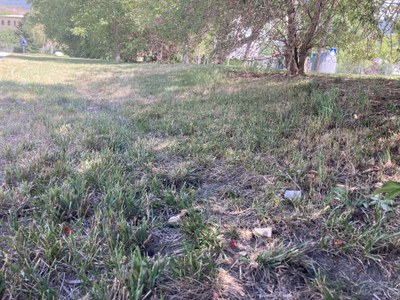 Restes de petards llençats a tocar de vegetació, aquest divendres, al passeig de l'Horta del Valira