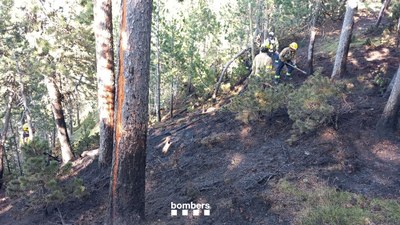 Incendi de vegetació a Trejuvell (Foto: Bombers Generalitat)
