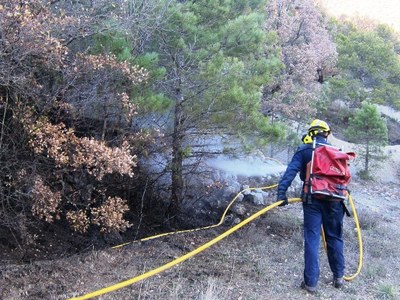 Incendi forestal a l'Oliva1