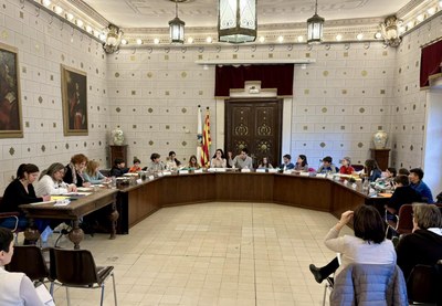 Ple del Consell Municipal d'Infants de la Seu d'Urgell